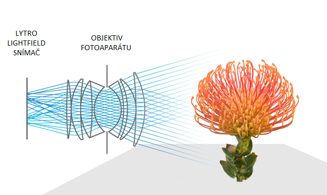 light_field_diagram-4ea0adb-intro